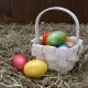basket colourful decoration 356330 80x80 - March Special Offer
