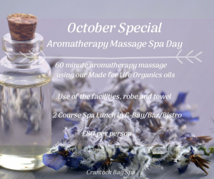 October Special Aromatherapy Massage Spa Day 3 300x251 - October Special Aromatherapy Massage Spa Day (3)