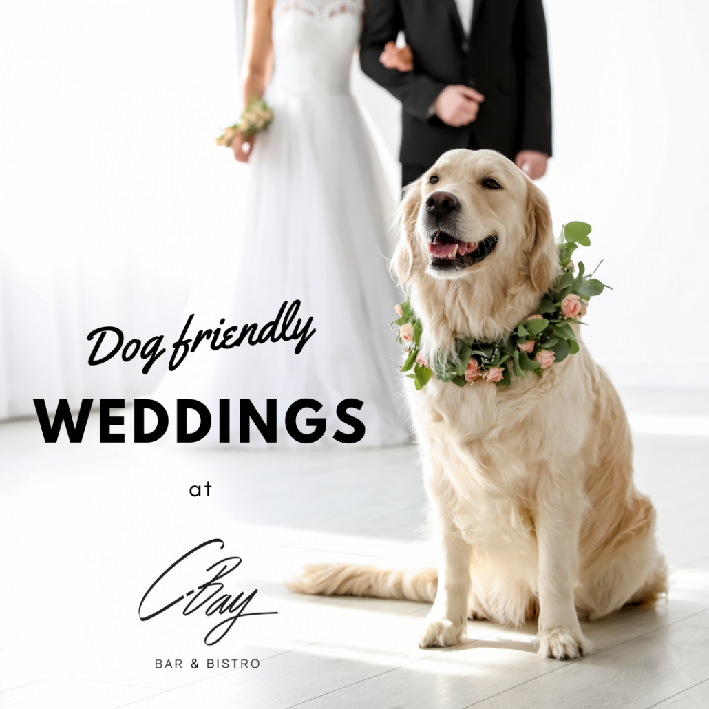 Dog friendly 1030x1030 - Weddings