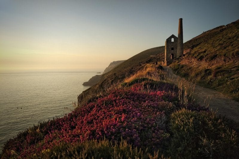 cornwall 5171138 1920 800x533 - Things to Do in Cornwall This Summer | Crantock Bay