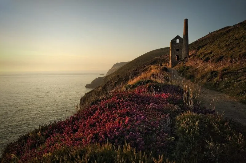 cornwall 5171138 1920 800x533 - Things to Do in Cornwall This Summer | Crantock Bay