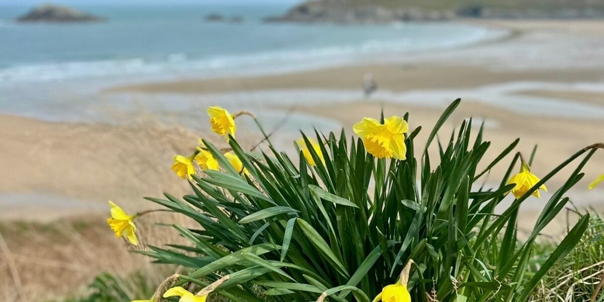 IMG 9064 1200x600 - Things to Do in Crantock This Spring: A Coastal Escape for Mind and Body