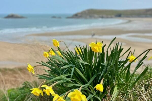 IMG 9064 600x400 - Things to Do in Crantock This Spring: A Coastal Escape for Mind and Body
