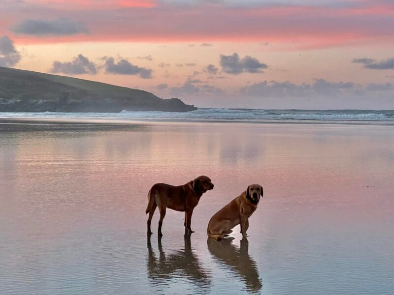 att.fRa4oBBRCNzZfP4trsmci xyoK0W hf5pbn 5VoKukk 800x600 - Things to Do in Crantock This Spring: A Coastal Escape for Mind and Body