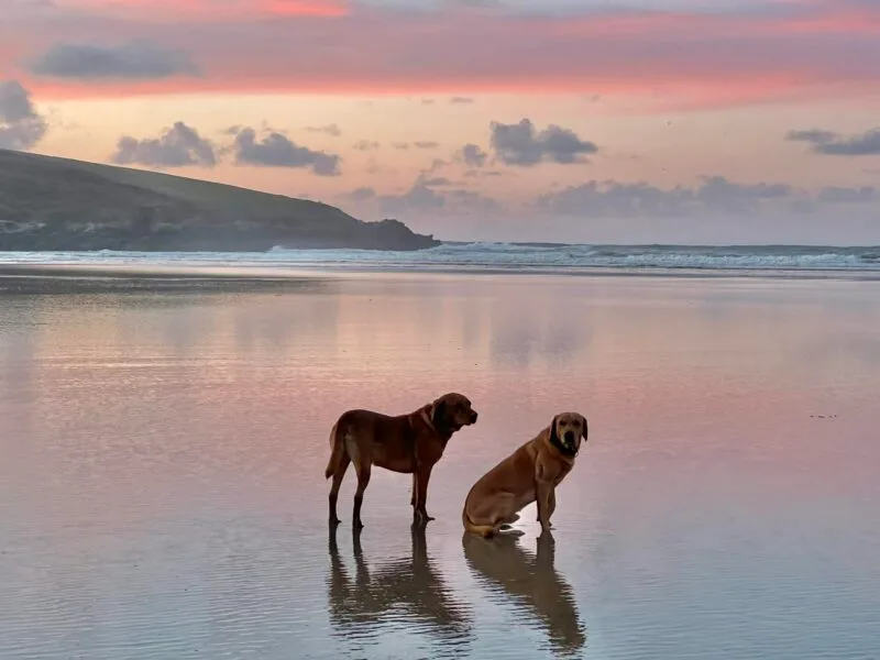 Things to Do in Crantock This Spring: A Coastal Escape for Mind and Body att.fRa4oBBRCNzZfP4trsmci xyoK0W hf5pbn 5VoKukk 800x600 - Things to Do in Crantock This Spring: A Coastal Escape for Mind and Body